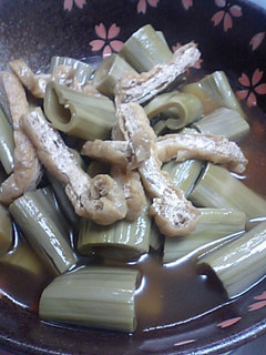 いたどりと薄揚げの煮物-レシピのメイン写真