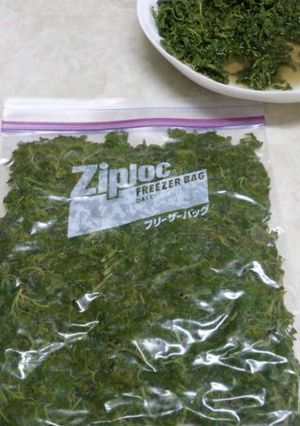 山椒の塩づけ（保存用）-レシピのメイン写真