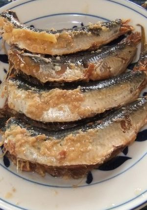 イワシの塩麹煮-レシピのメイン写真