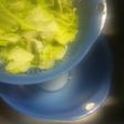 ザルボールセットで☆レタス水切り
