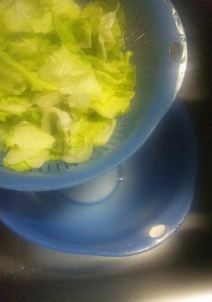 ザルボールセットで☆レタス水切り-レシピのメイン写真