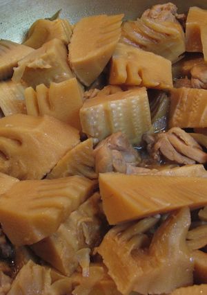 筍と鶏肉の煮物-レシピのメイン写真