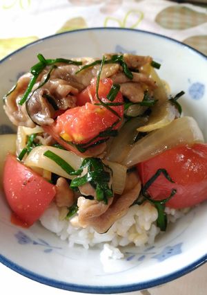 野菜たっぷり豚丼-レシピのメイン写真