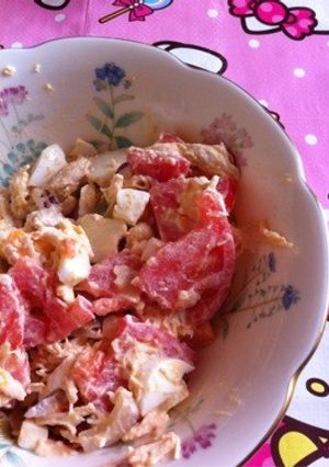 Salpicón de pollo-レシピのメイン写真