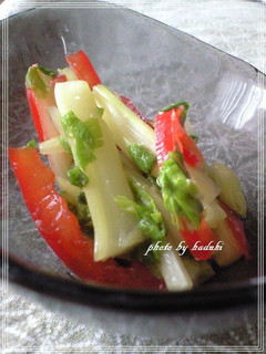 塩麹でセロリの漬け物-レシピのメイン写真