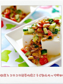 納豆とコロコロ野菜の塩麹和えのっけ冷奴-レシピのメイン写真