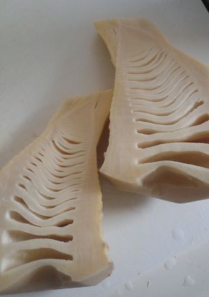 たけのこの下茹で〜圧力鍋〜-レシピのメイン写真