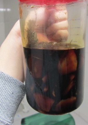 ニンニク醤油(パクチー入り)-レシピのメイン写真