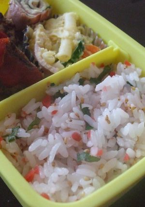 カリカリ梅とシソの混ぜご飯☆-レシピのメイン写真