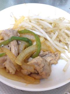 野菜たっぷり豚のしょうが焼き-レシピのメイン写真