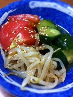 さっぱり簡単!中華サラダ-レシピのメイン写真
