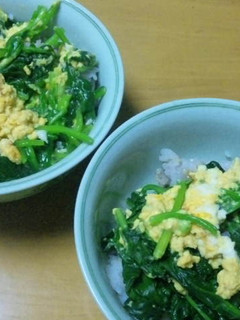そうめんつゆで作る簡単ほうれんそう丼-レシピのメイン写真