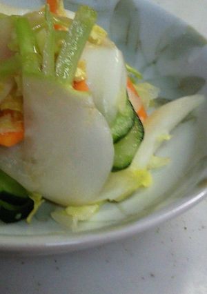 【旬野菜】漬けるだけ！すぐ美味しい浅漬け-レシピのメイン写真