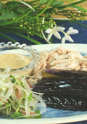 揚げなすと鶏ささみのサラダ-レシピのメイン写真