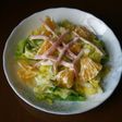 春キャベツと夏みかんのサラダ