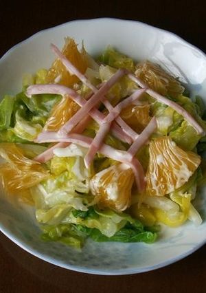 春キャベツと夏みかんのサラダ-レシピのメイン写真