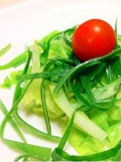 長ねぎの葉と春キャベツの塩味だけ-レシピのメイン写真
