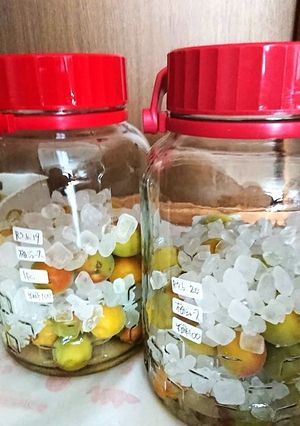 我が家の元気な毎日、米酢入り梅ジュース-レシピのメイン写真