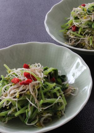 母の日豆苗スプラウトの塩麹ケチャップあえ-レシピのメイン写真