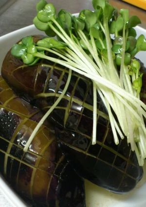 ナス素揚げ 簡単レシピ-レシピのメイン写真