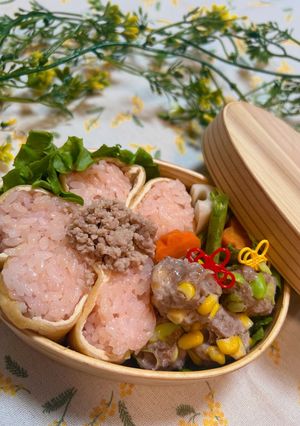 炊飯器で作るお花見弁当🌸-レシピのメイン写真