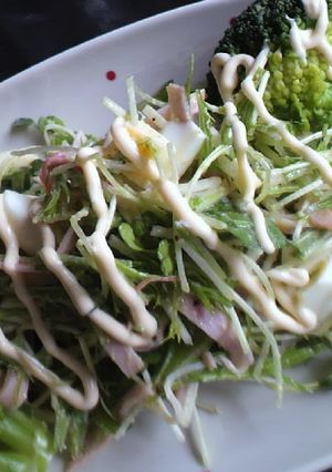 水菜チーズのガーリック風味サラダ-レシピのメイン写真