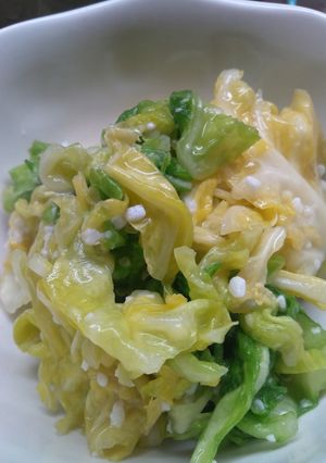 春キャベツの塩麹漬-レシピのメイン写真