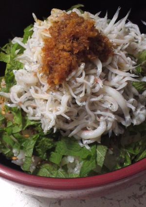 しらす丼-レシピのメイン写真
