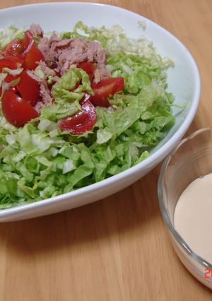 茹でない白菜サラダ-レシピのメイン写真