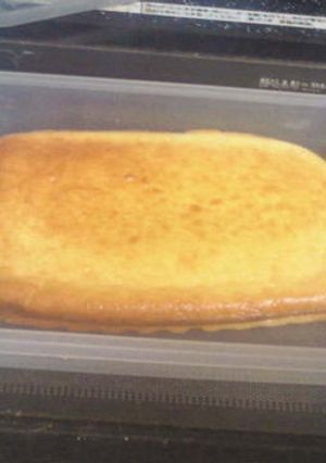 シリコンスチーマーでチーズケーキ-レシピのメイン写真