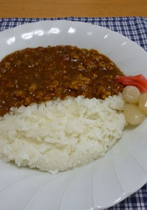 お手軽！おやじの挽肉カレー。余は冷凍保存-レシピのメイン写真