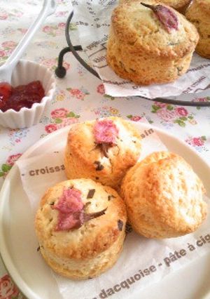 桜スコーン-レシピのメイン写真