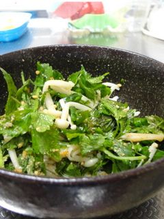 塩麹エノキとセリの胡麻和え-レシピのメイン写真