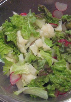 いろいろ野菜のサラダ-レシピのメイン写真