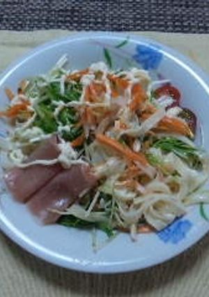 のせるだけ！簡単サラダうどん-レシピのメイン写真