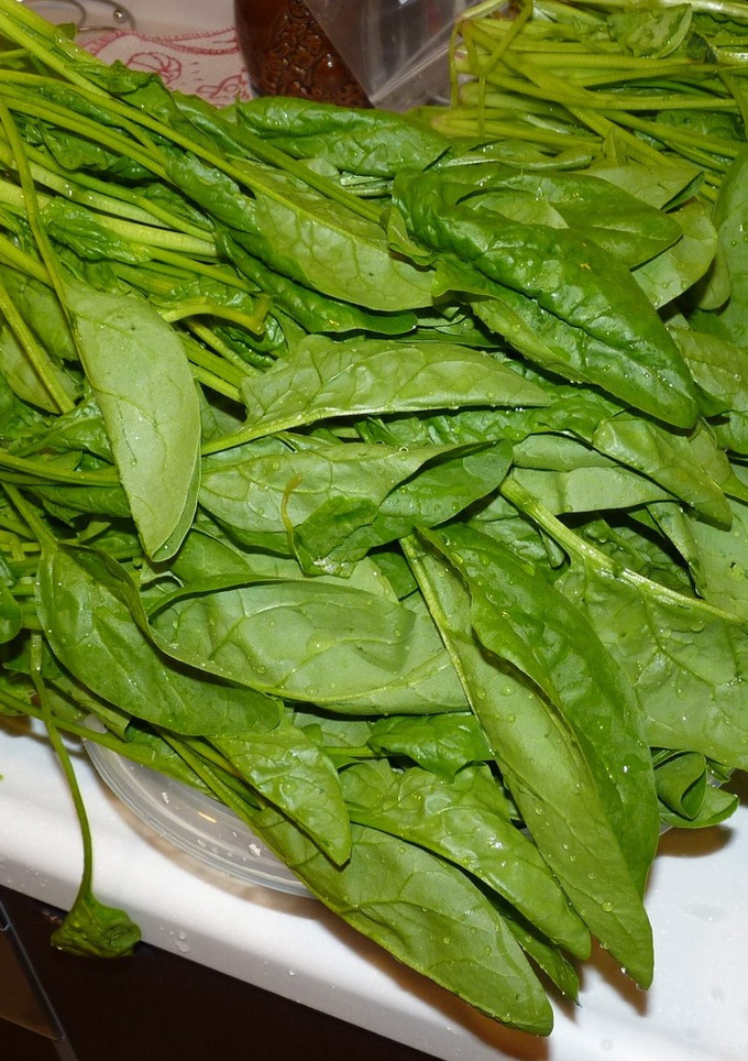ほうれん草の冷凍-レシピのメイン写真