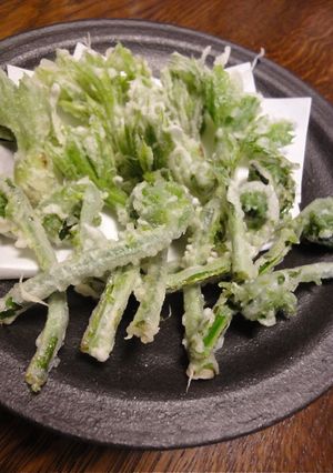 山菜の天ぷら☆こしあぶら＆こごみ-レシピのメイン写真