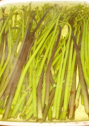 わらびの茹で方（私流）-レシピのメイン写真