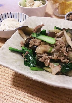 豚肉とわらびと茄子と小松菜の塩麹炒め-レシピのメイン写真