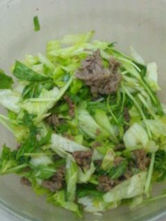 焼き肉サラダ-レシピのメイン写真