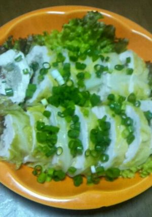 ヘルシー!梅干しと野菜の鶏肉巻き-レシピのメイン写真