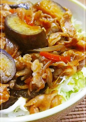 息子のイチオシ✿なすと豚肉丼✿-レシピのメイン写真
