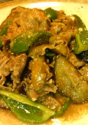 かなるンちの塩麹豚肉となすの味噌炒め-レシピのメイン写真