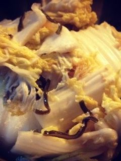 塩麹で白菜の浅漬け-レシピのメイン写真
