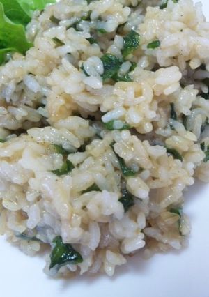 禁断？ニンニク☆ラード炒飯-レシピのメイン写真
