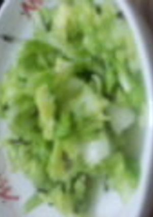 塩麹†漬け物†-レシピのメイン写真
