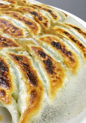 塩麹で☆おから入り野菜餃子☆羽つき-レシピのメイン写真