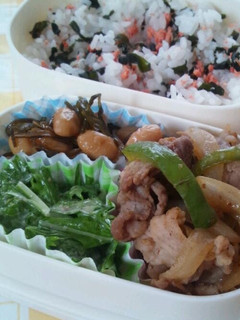 簡単お弁当☆ノンオイルしょうが焼き-レシピのメイン写真