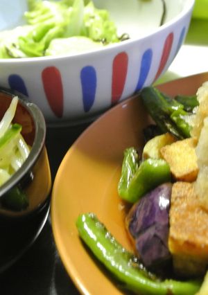 焼き厚揚げのみぞれ乗せ-レシピのメイン写真