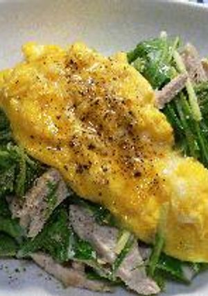 鶏肉と水菜のサラダ-レシピのメイン写真